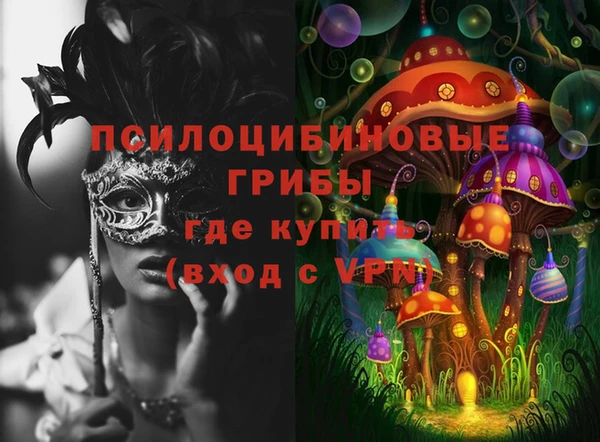 дживик Зерноград
