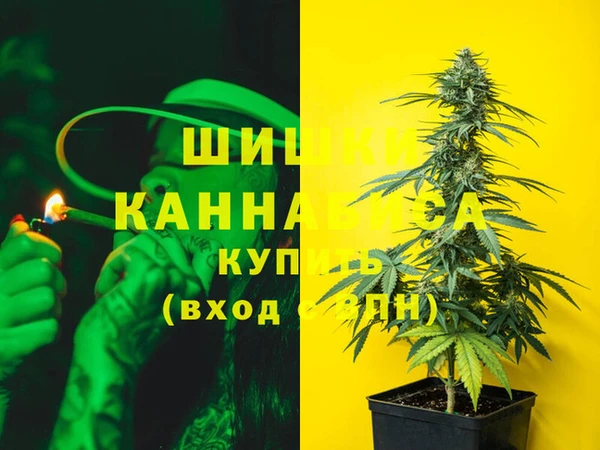 дживик Зерноград