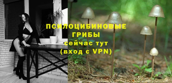 дживик Зерноград