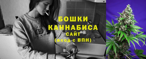 крисы Зеленодольск