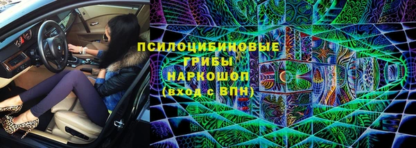 крисы Зеленодольск