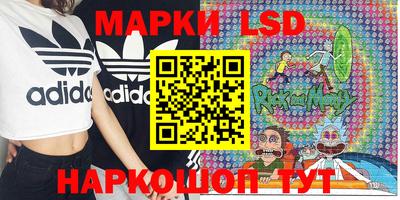 шишки Кандалакша