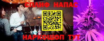 шишки Кандалакша