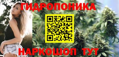 шишки Кандалакша