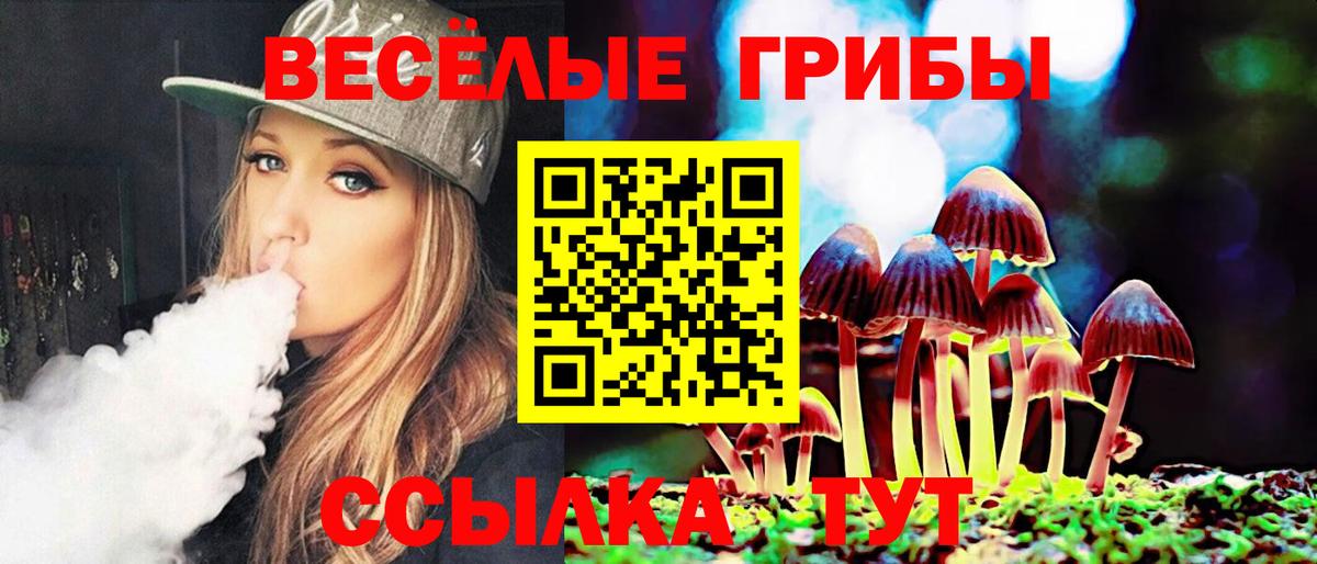 Чусовой  Галлюциногенные грибы MAGIC MUSHROOMS  как найти наркотики  Псилоцибиновые грибы мицелий  Вход с VPN 